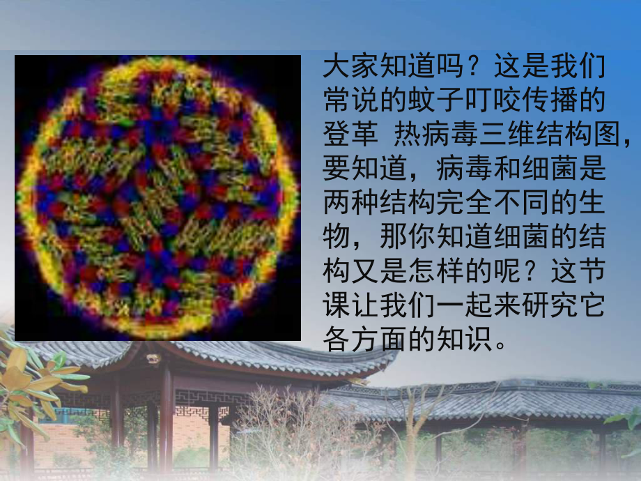 第四章-第三节-真菌.ppt_第2页