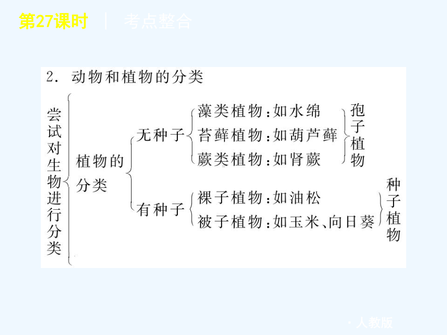 2011届中考生物复习方案 第27课时生物的分类及生物多样性的保护课件 人教新课标版.ppt_第3页