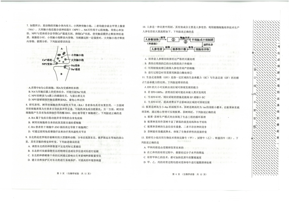 辽宁省大连市2023届高三年级一模生物试卷+答案.pdf_第2页