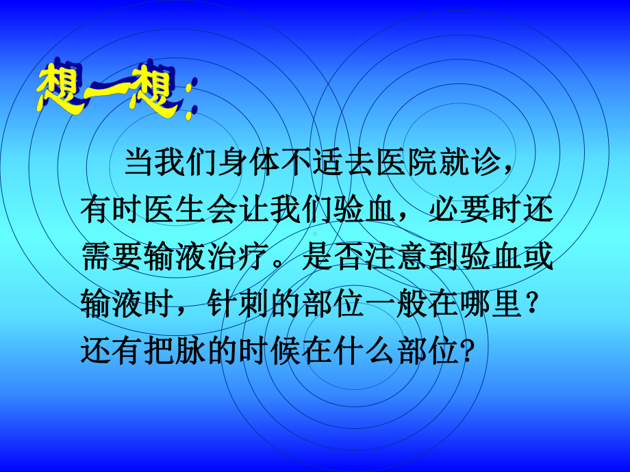 第四章第二节血流的管道血管 (2).ppt_第2页