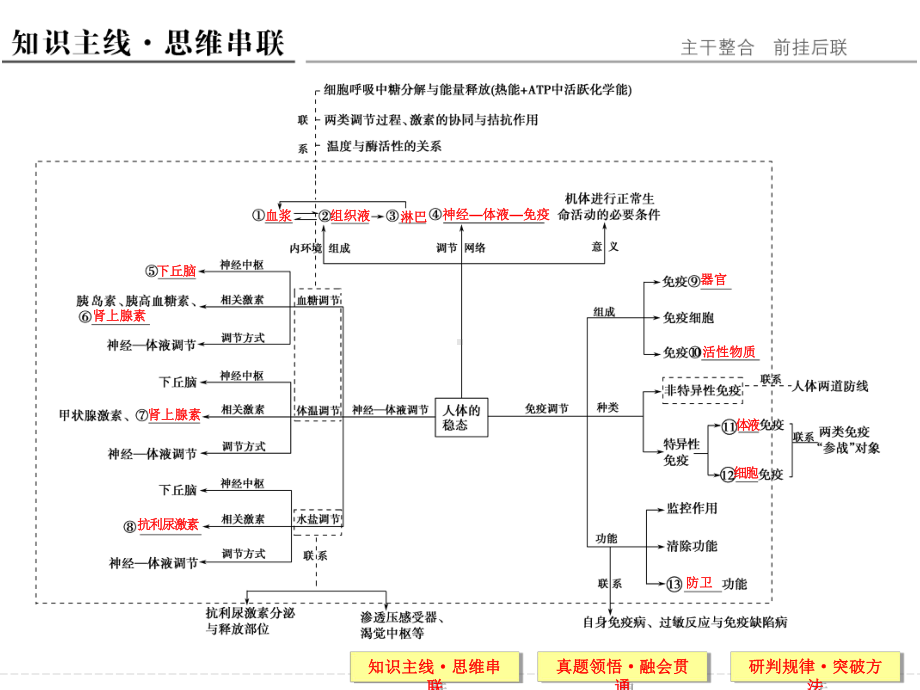 第四单元专题二.ppt_第2页