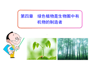 第四章绿色植物是生物圈中有机物的制造者（共23张PPT）.ppt