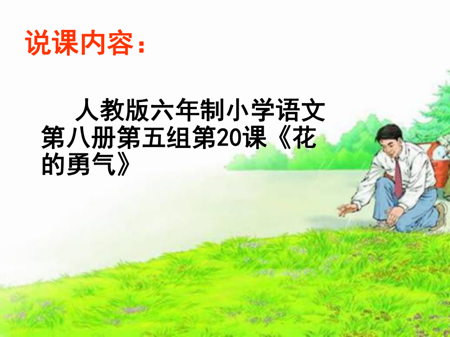 20《花的勇气》说课稿.ppt_第2页