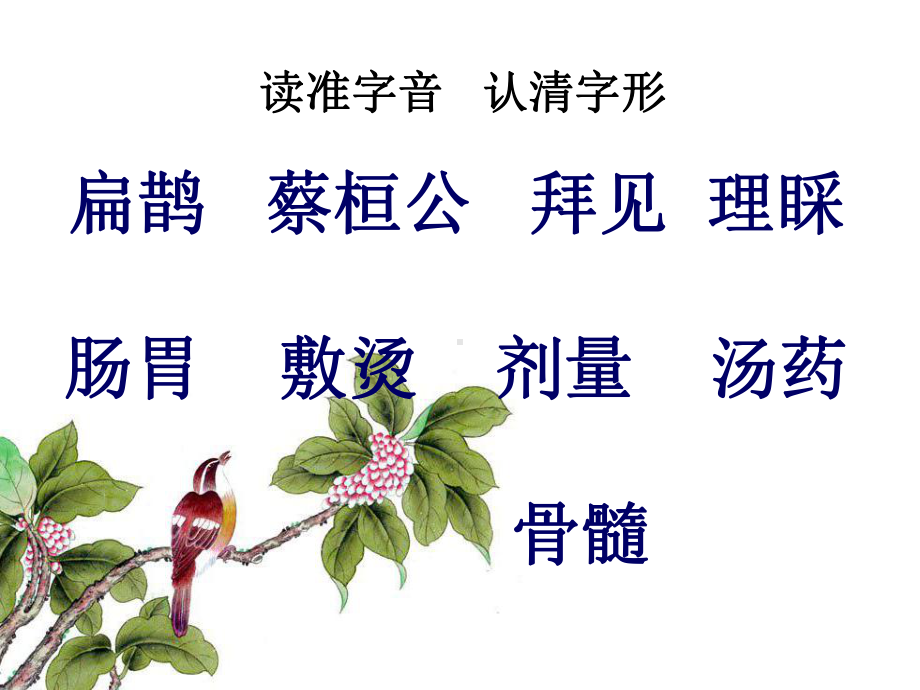 《扁鹊治病》 (2).ppt_第3页