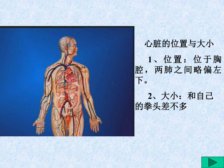 10输送血液的泵3.ppt_第3页