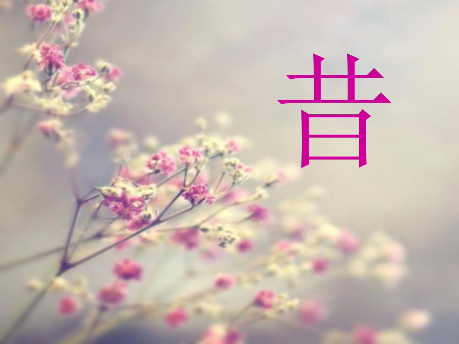 初中主题班会--时间.ppt_第1页