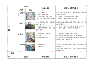 幼儿园大班主题《我自己》个别化学习.doc