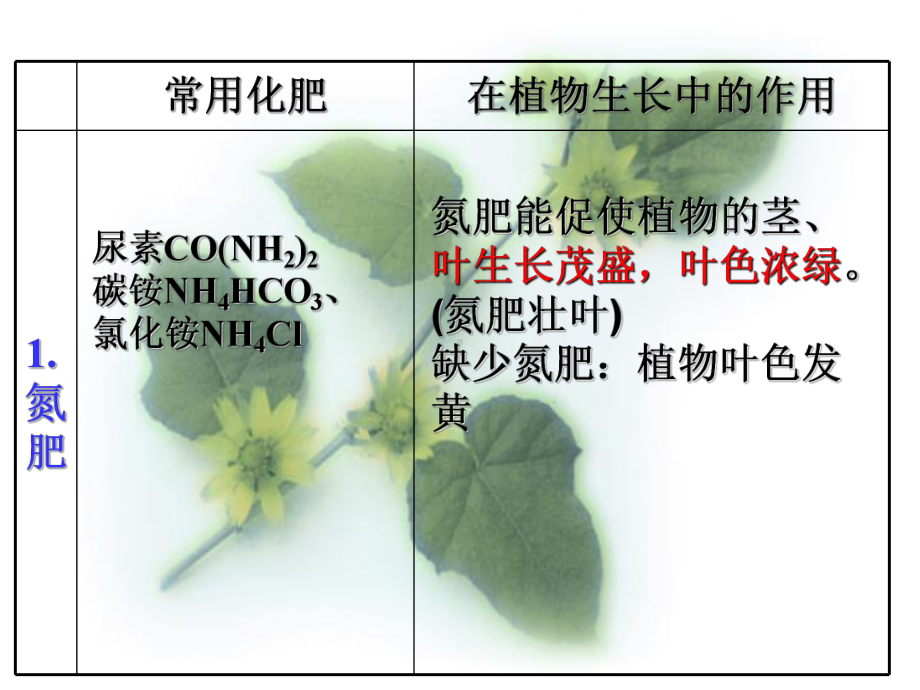 化学肥料(公开课)成品.ppt_第2页