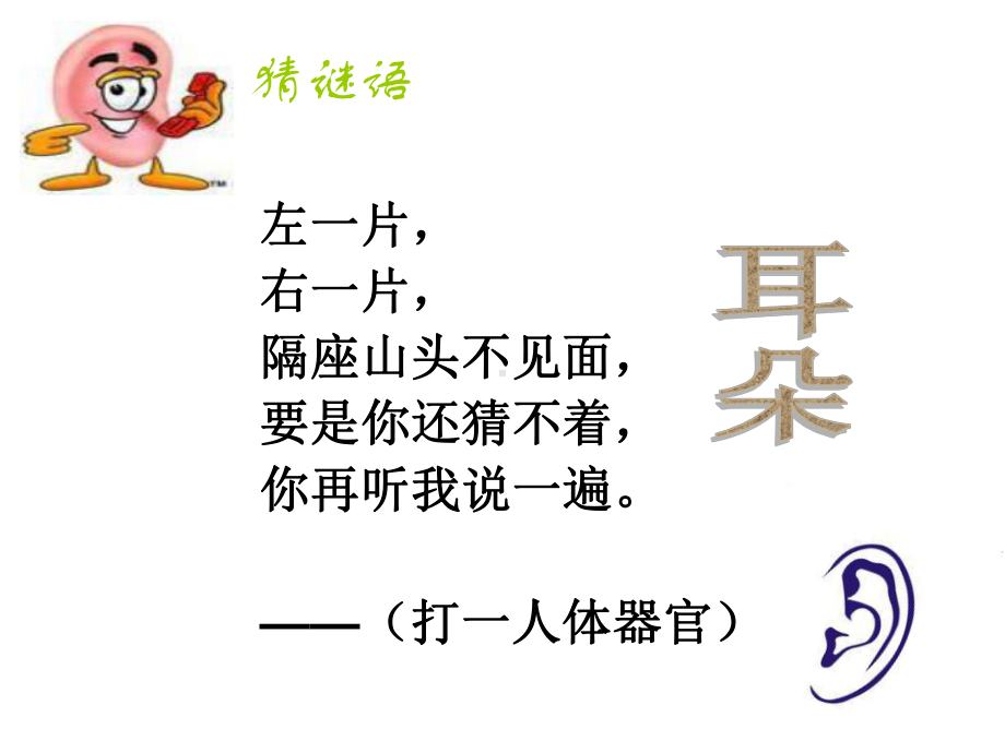 保护我们的听力 (2).ppt_第2页