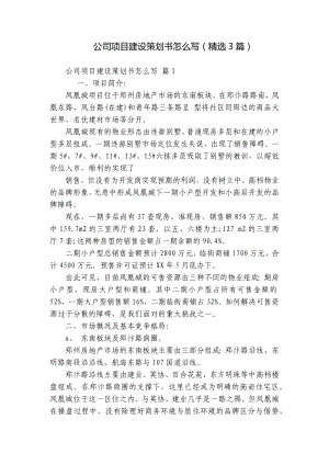 公司项目建设策划书怎么写（精选3篇）.docx