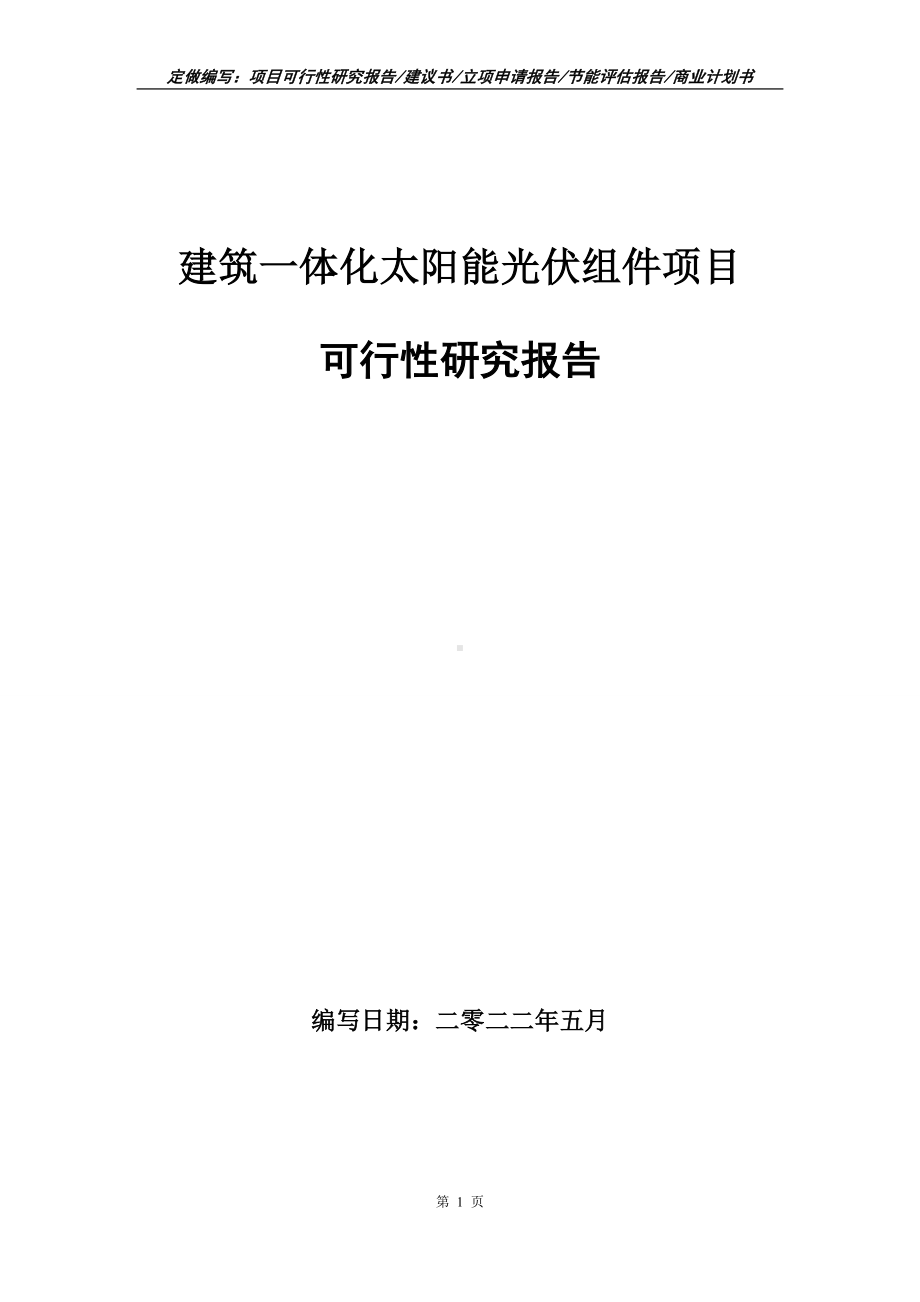 建筑一体化太阳能光伏组件项目可行性报告（写作模板）.doc_第1页