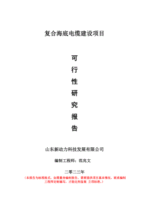 重点项目复合海底电缆建设项目可行性研究报告申请立项备案可修改案例.wps