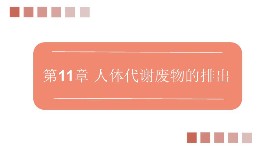 11.1 人体产生的代谢废物-（趣味课堂）2022-2023学年七年级生物优质课件（北师大版七下）(图片版 不可编辑).pptx_第1页