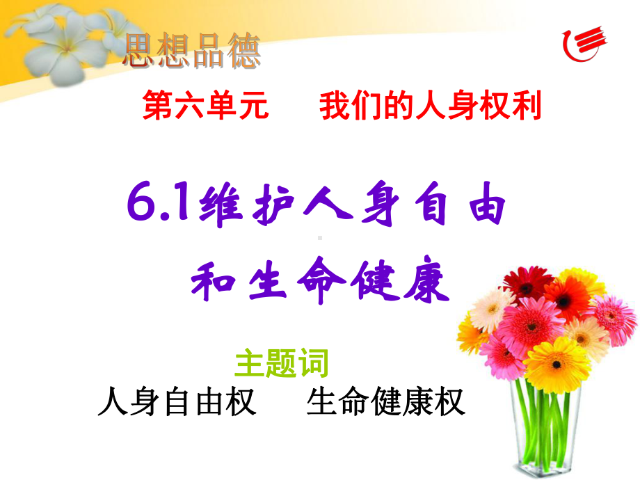 维护人身自由和生命健康权.ppt_第2页