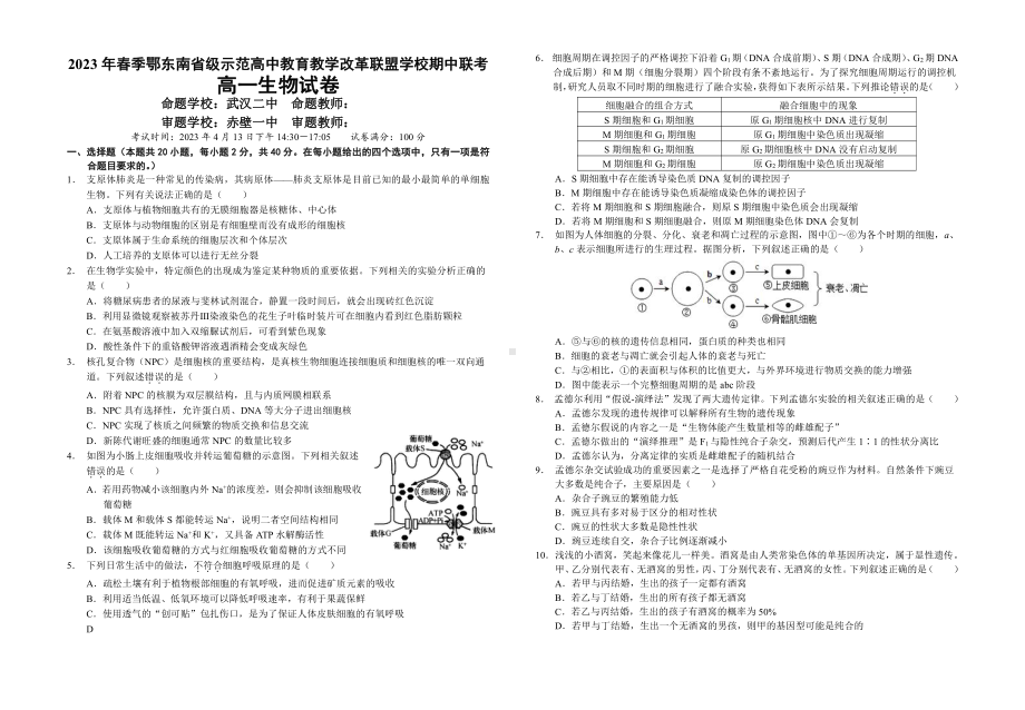 鄂东南示范高中2022-2023高一下学期生物期中试卷+答案.pdf_第1页