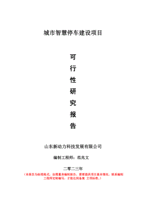 重点项目城市智慧停车建设项目可行性研究报告申请立项备案可修改案例.wps