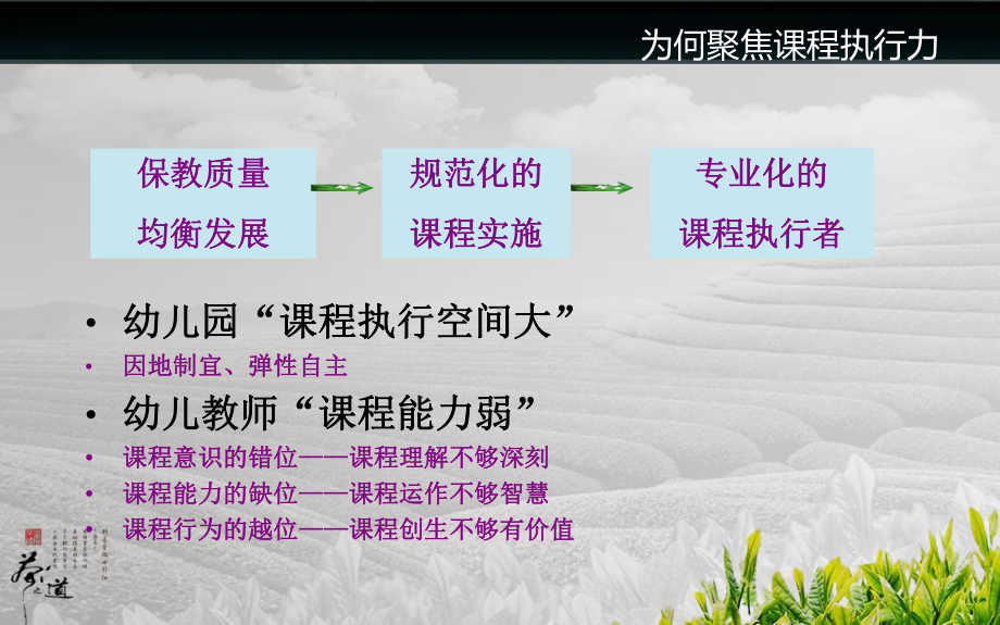 关注儿童有效执行-提升幼儿教师课程执行力.ppt_第2页