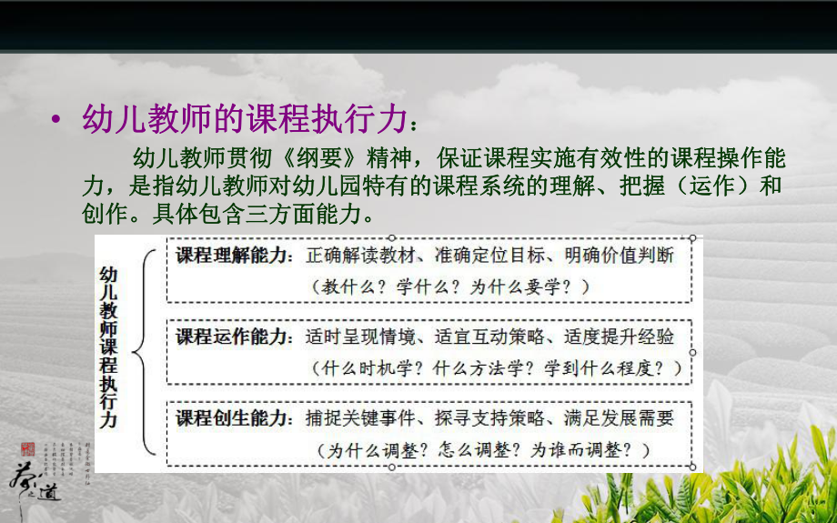 关注儿童有效执行-提升幼儿教师课程执行力.ppt_第3页