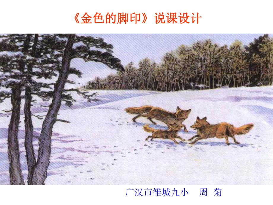 《金色的脚印》说课.ppt_第1页