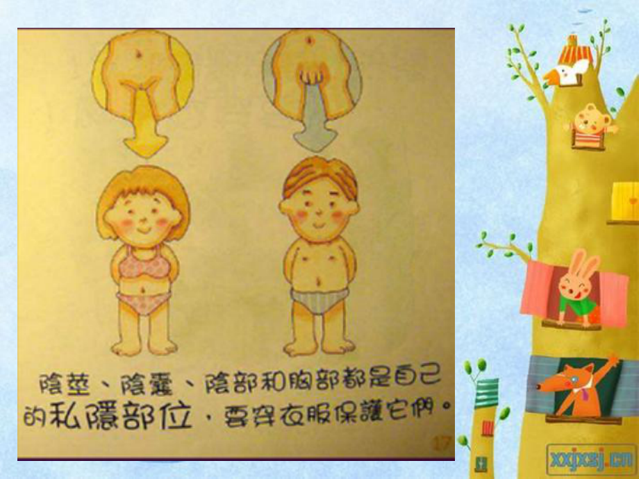 幼儿园健康活动《不许摸》.ppt_第3页