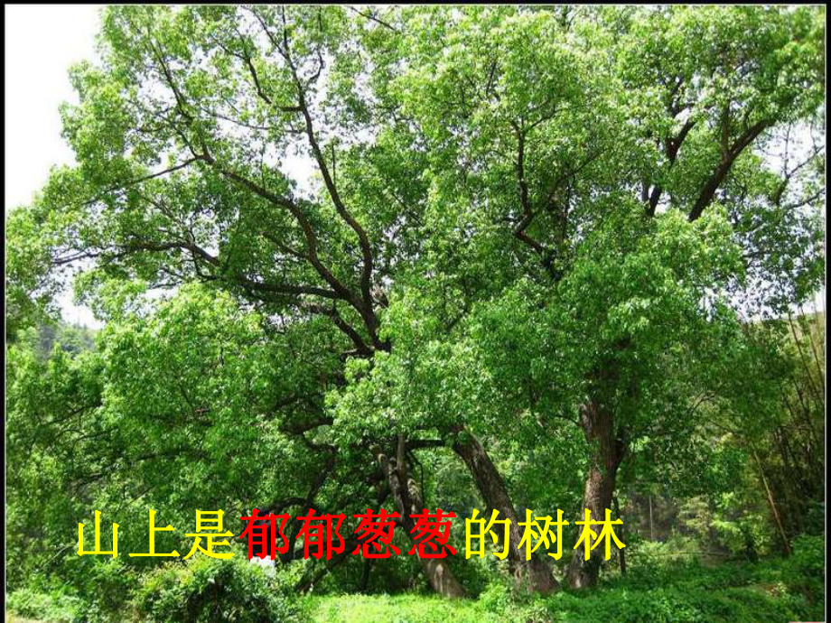 一个小山村的故事课件.ppt_第3页