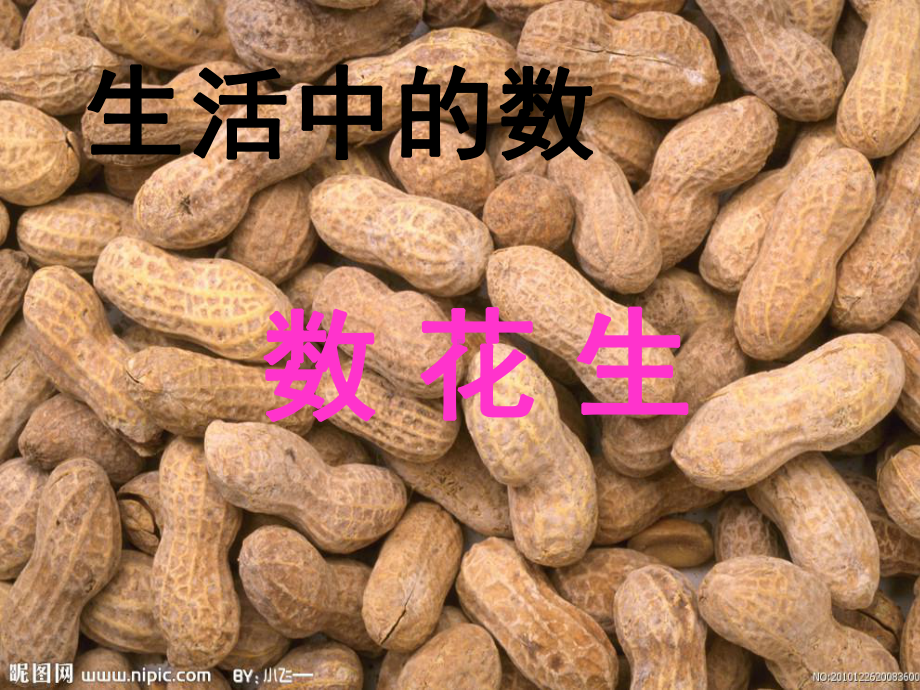 一年级下册数花生.ppt_第1页