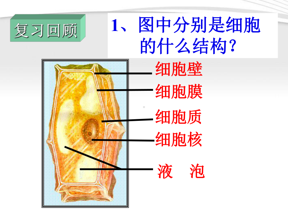 七年级生物上册《动物细胞》课件人教新课标版.ppt_第2页