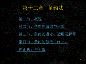 《国际法》课件章节13.ppt