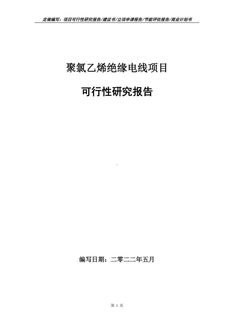 聚氯乙烯绝缘电线项目可行性报告（写作模板）.doc_第1页