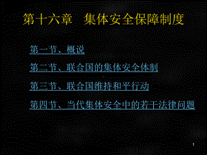 《国际法》课件章节16.ppt