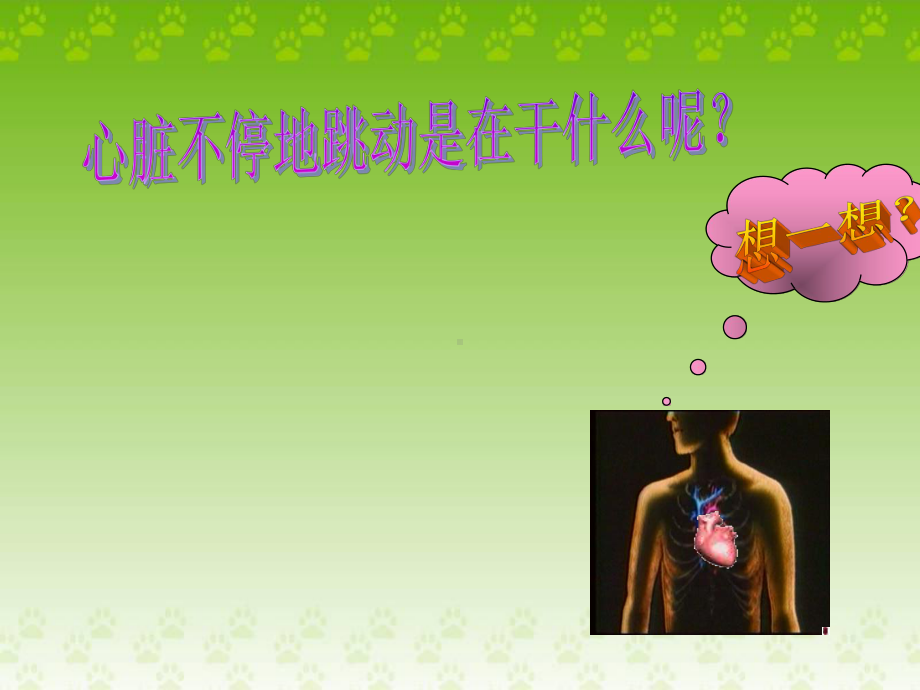 2心脏和血管课件2.ppt_第3页