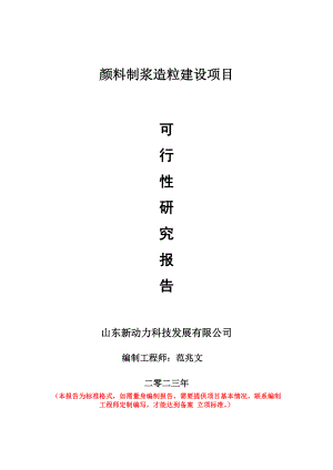 重点项目颜料制浆造粒建设项目可行性研究报告申请立项备案可修改案例.wps