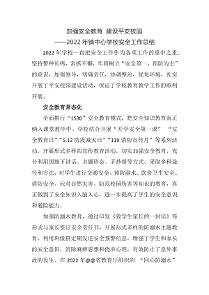 镇中心学校安全工作总结.docx