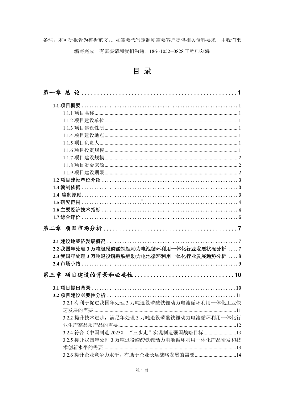 年处理3万吨退役磷酸铁锂动力电池循环利用一体化项目可行性研究报告模板-代写定制.doc_第2页