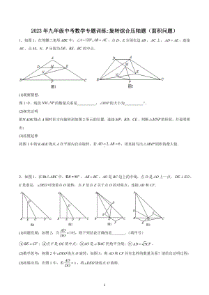 2023年九年级中考数学专题训练：旋转综合压轴题（面积问题）.docx