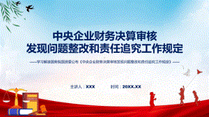 贯彻落实中央企业财务决算审核发现问题整改和责任追究工作规定学习解读课件.pptx