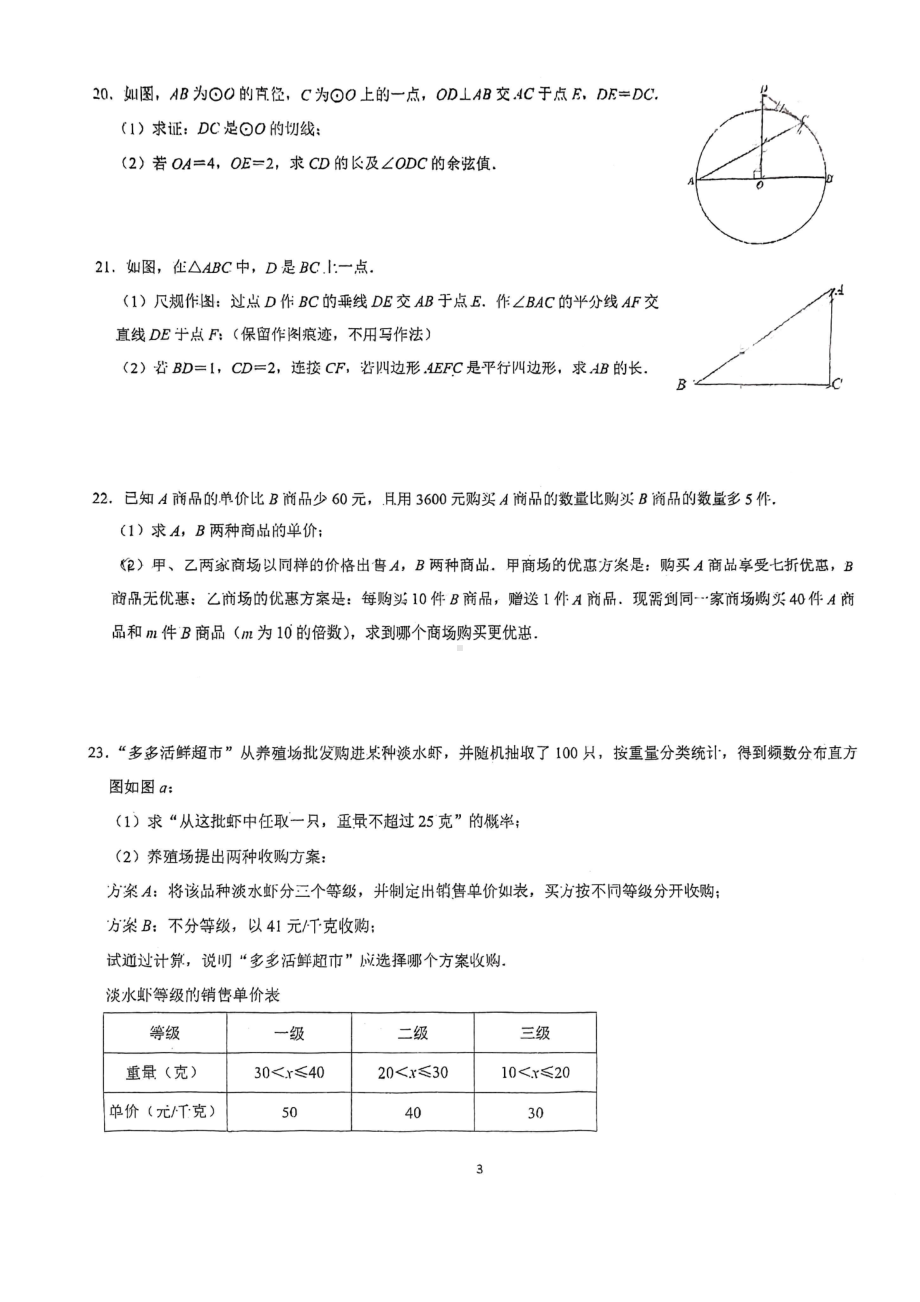 福建省福州现代中学2022-2023学年下学期九年级期中考数学试卷 - 副本.pdf_第3页