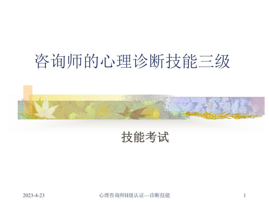 心理咨询师三级考试题型分析.ppt_第1页