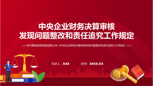 完整解读中央企业财务决算审核发现问题整改和责任追究工作规定学习解读课件.pptx