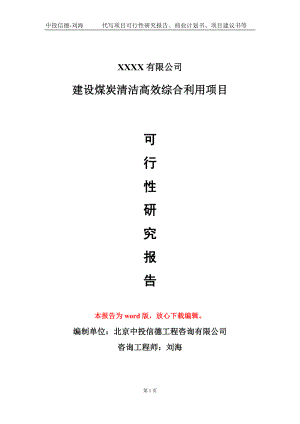 建设煤炭清洁高效综合利用项目可行性研究报告模板立项审批.doc