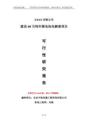 建设60万吨年锂电池电解液项目可行性研究报告模板立项审批.doc