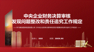 全文解读中央企业财务决算审核发现问题整改和责任追究工作规定内容课件.pptx