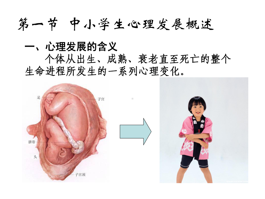 中小学生的心理发展与教育.ppt_第2页