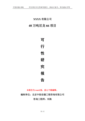 40万吨尼龙66项目可行性研究报告模板立项审批.doc