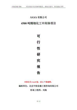 4500吨精细化工中间体项目可行性研究报告模板立项审批.doc