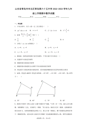 山东省青岛市市北区青岛第六十五中学2022-2023学年九年级上学期期中数学试题.pdf