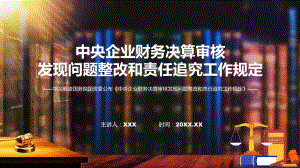 详解宣贯中央企业财务决算审核发现问题整改和责任追究工作规定内容课件.pptx