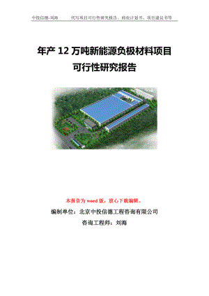 年产12万吨新能源负极材料项目可行性研究报告模板-代写定制.doc