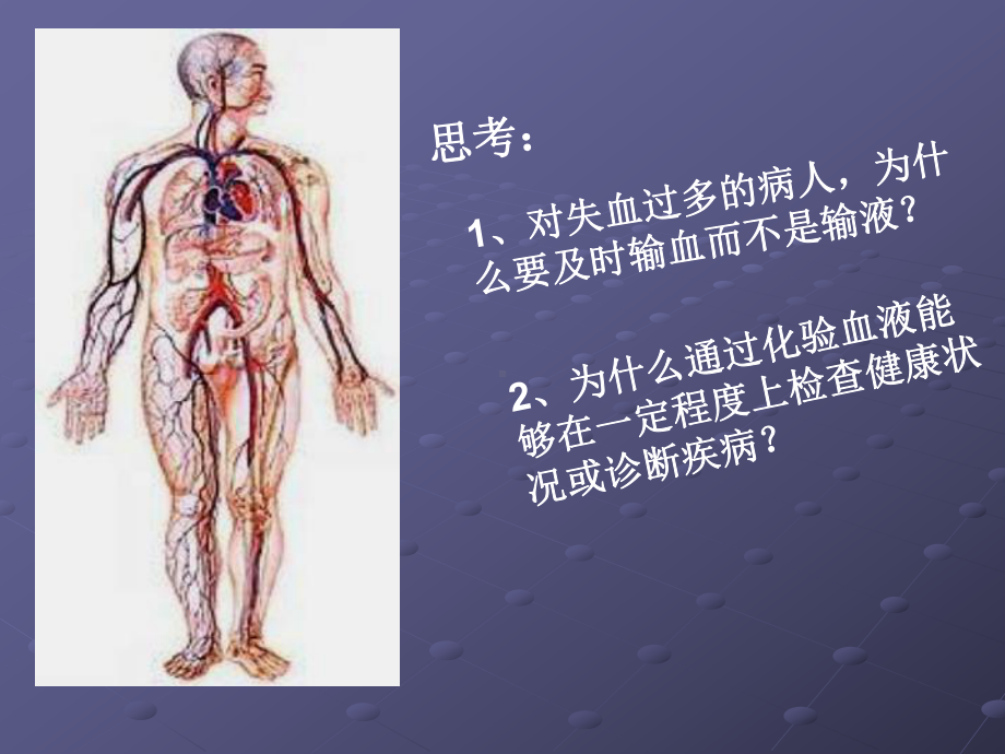 组织的流动-血液.ppt_第2页