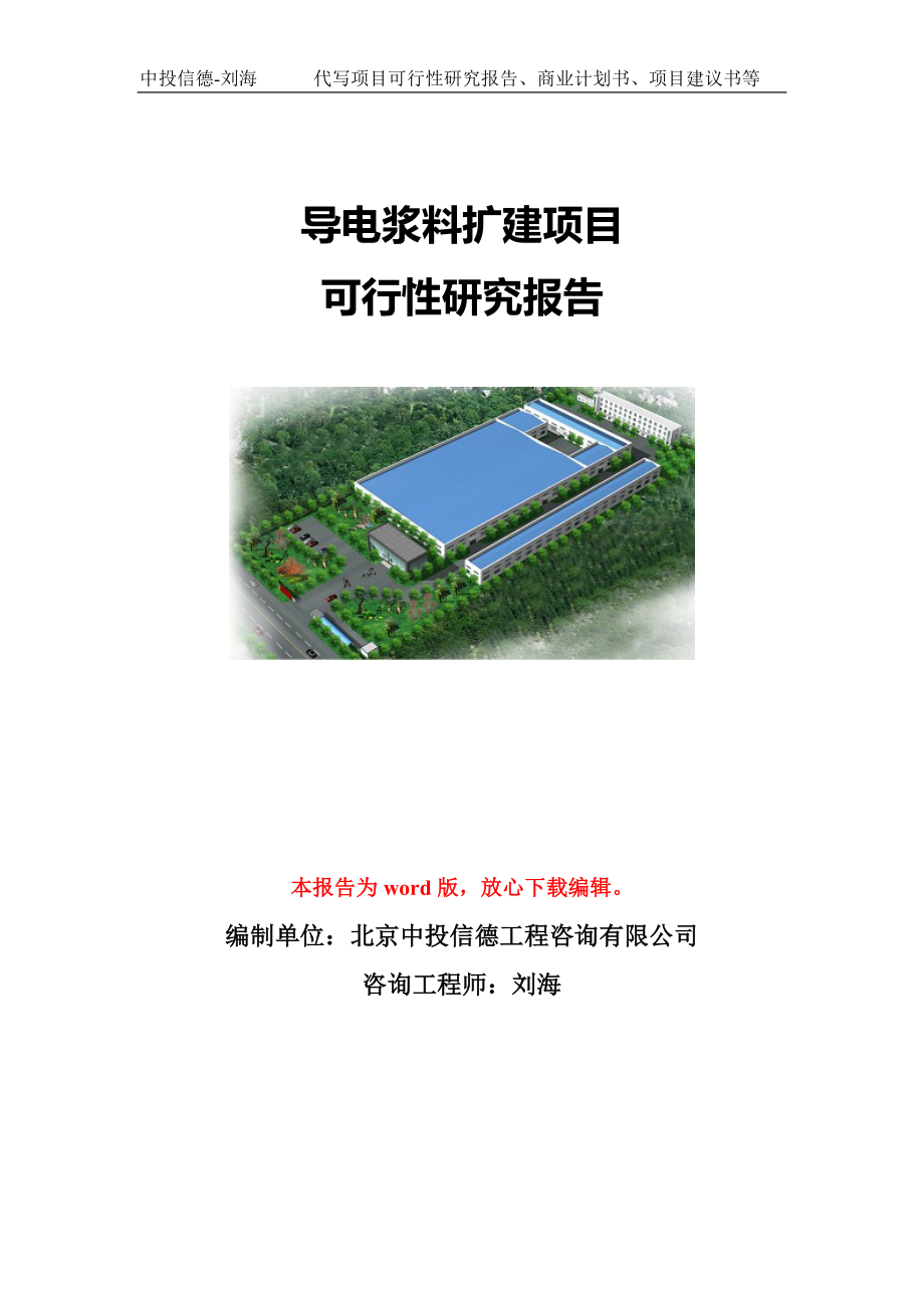 导电浆料扩建项目可行性研究报告模板-代写定制.doc_第1页